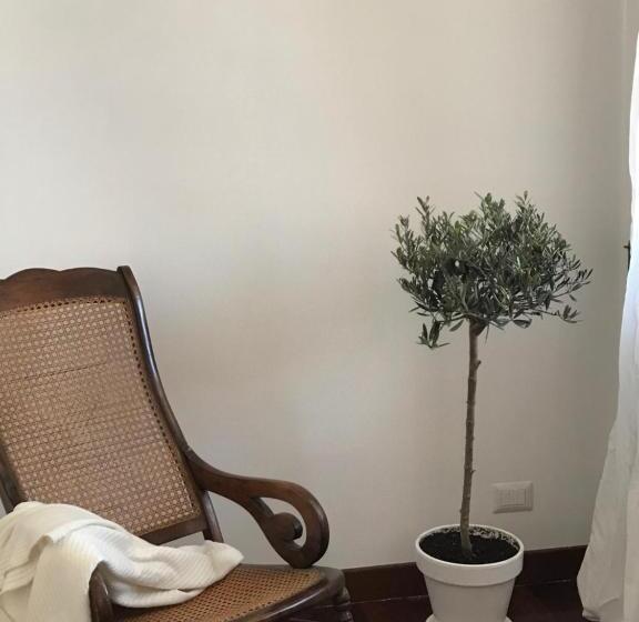 Suíte Júnior, Maison Fernanda
