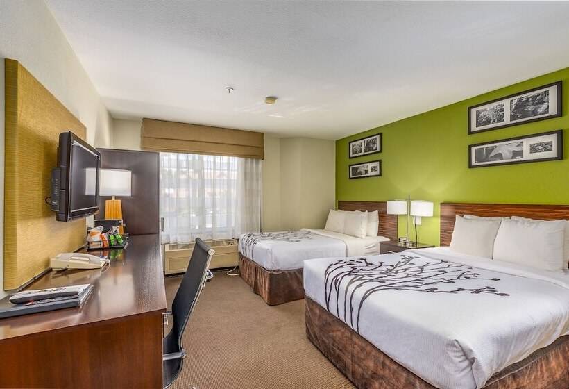 Номер Стандарт 2 Двуспальные Кровати, Sleep Inn Airport