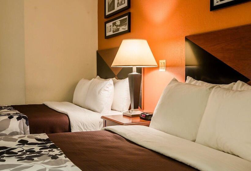Номер Стандарт 2 Двуспальные Кровати, Sleep Inn Pelham Oak Mountain
