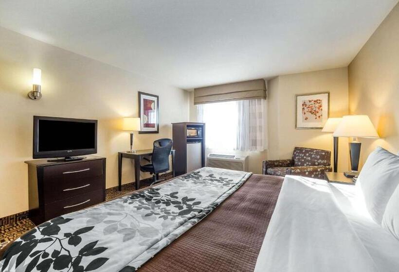Стандартный Номер Кровать Кинг, Sleep Inn Provo Near University