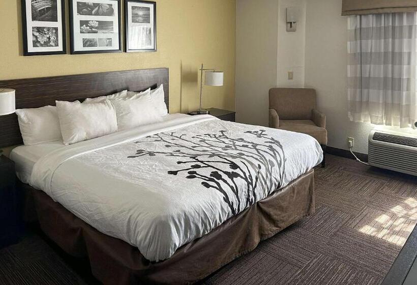 스탠다드 룸 킹사이즈 침대, Sleep Inn Wilson Near I 95