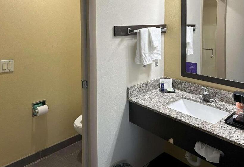 스탠다드 룸, Sleep Inn Wilson Near I 95