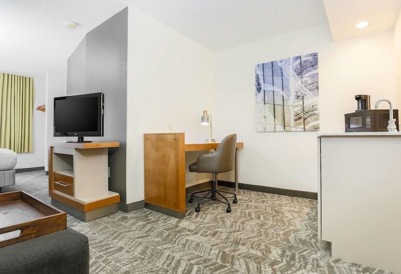 Люкс, Springhill Suites By Marriott Houston Brookhollow