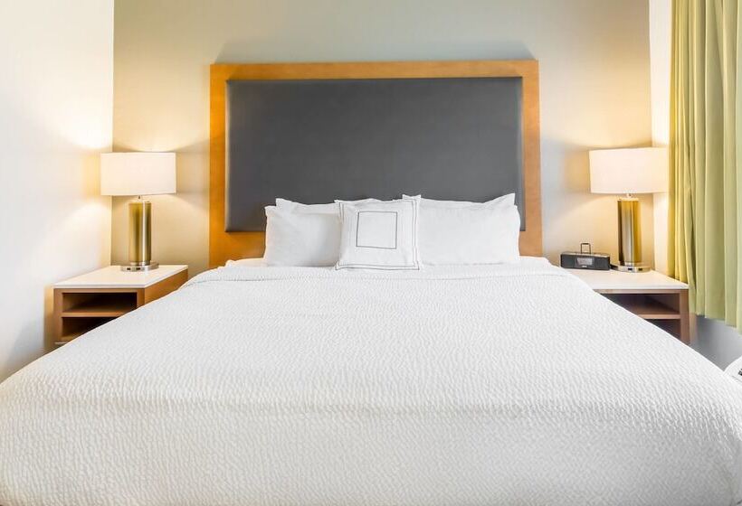 Люкс Адаптированный для Инвалидов, Springhill Suites By Marriott Houston Brookhollow