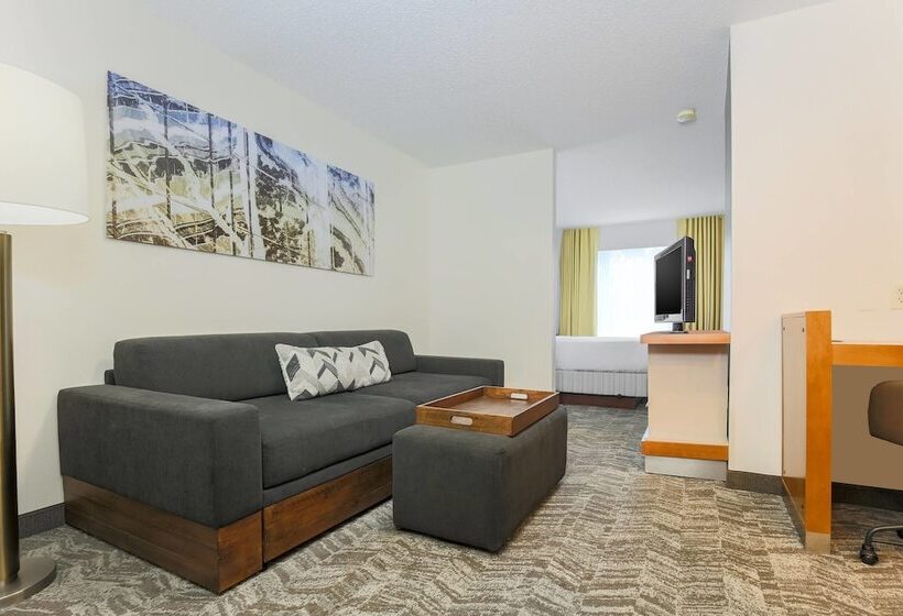 Люкс Адаптированный для Инвалидов, Springhill Suites By Marriott Houston Brookhollow