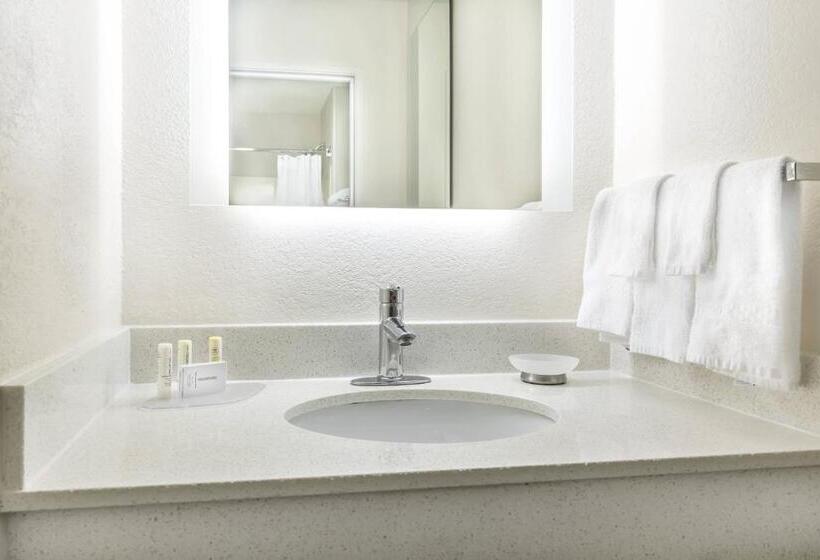 Люкс, Springhill Suites By Marriott Houston Brookhollow