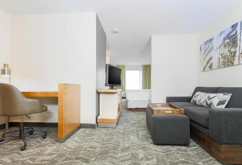 Люкс, Springhill Suites By Marriott Houston Brookhollow