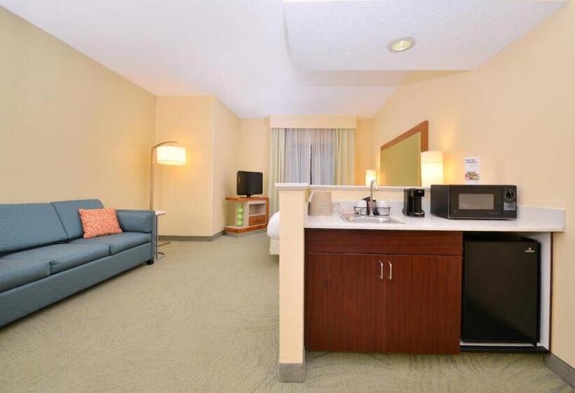 Люкс Кровать Кинг, Springhill Suites Pinehurst Southern Pines