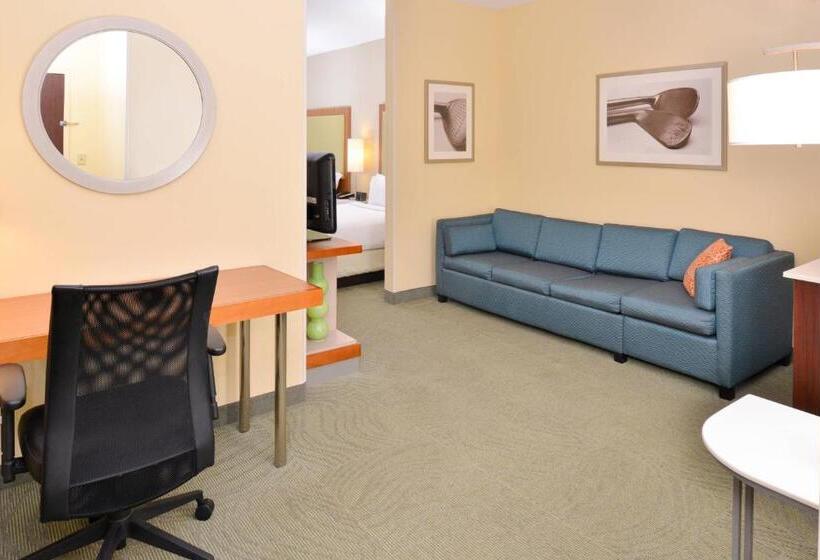 Люкс, Springhill Suites Pinehurst Southern Pines