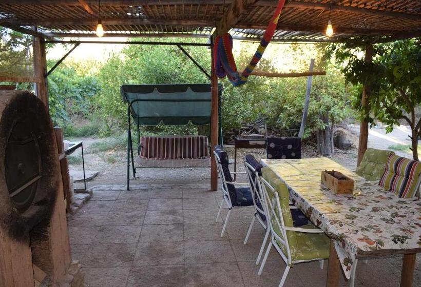 اتاق کلاسیک سه تخته, Clayhouse Rivadavia