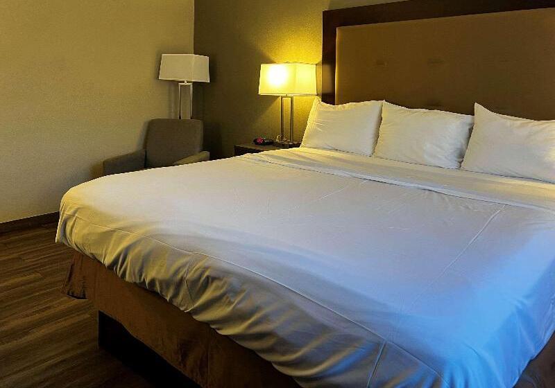 스탠다드 룸 킹사이즈 침대, Econo Lodge