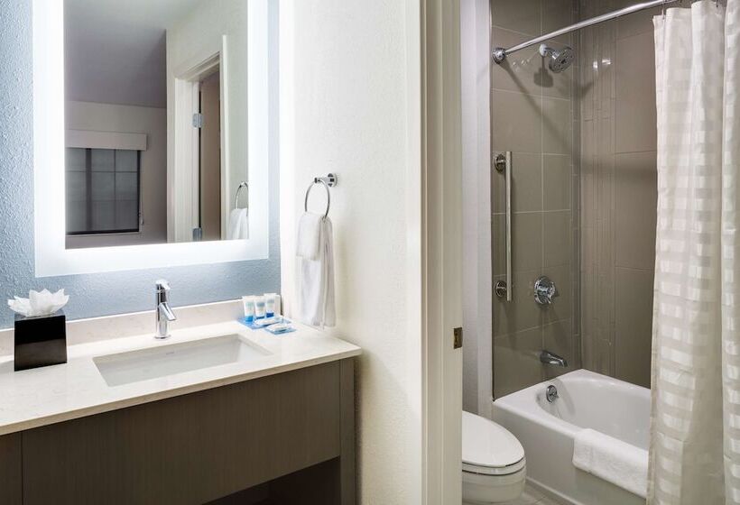 Люкс Адаптированный для Инвалидов, Hyatt House Boston Waltham