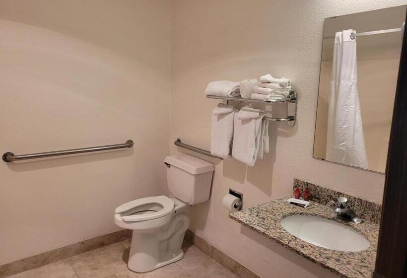 Номер Стандарт Адаптированный для Инвалидов, Surestay Hotel By Best Western Williams   Grand Canyon
