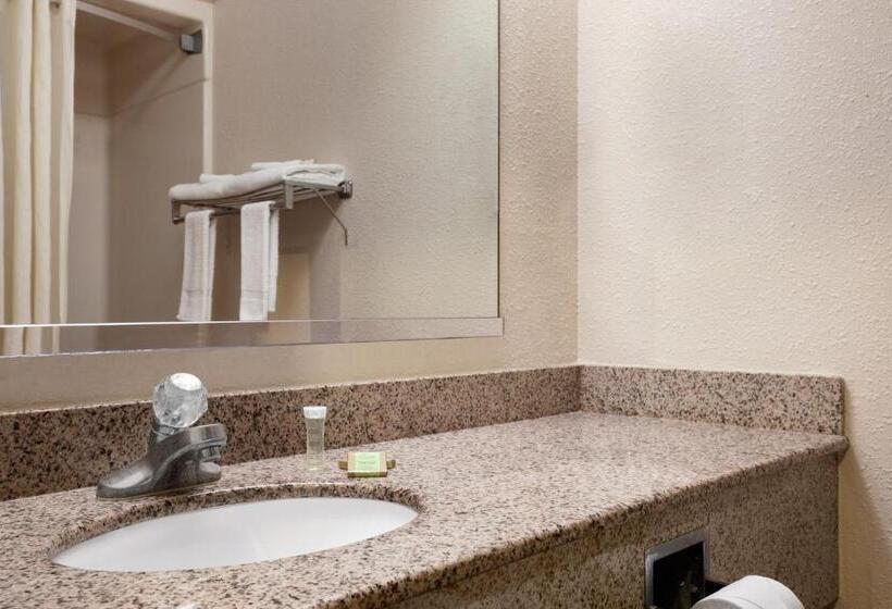 اتاق استاندارد با تخت بزرگ, Super 8 By Wyndham Evansville North