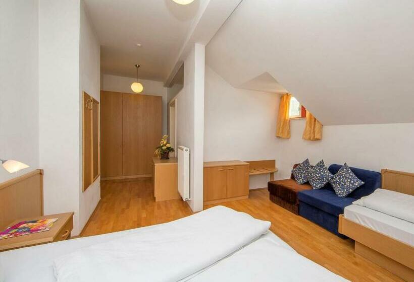 １ベッドルームアパートメント, Villa Residence Santer