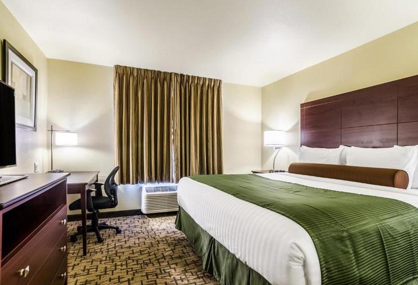 带大床的标准间, Cobblestone Inn & Suites  Ord