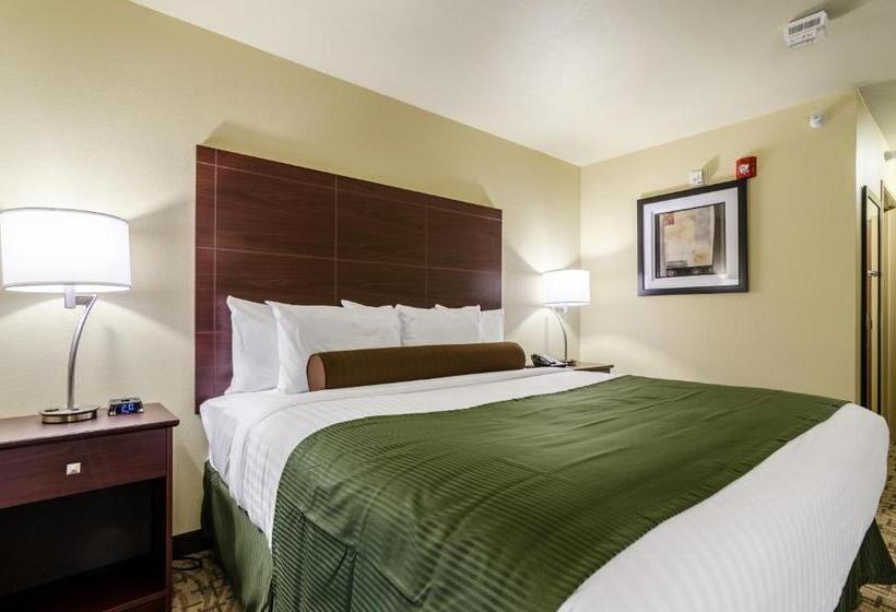 Стандартный Номер Кровать Кинг, Cobblestone Inn & Suites  Ord