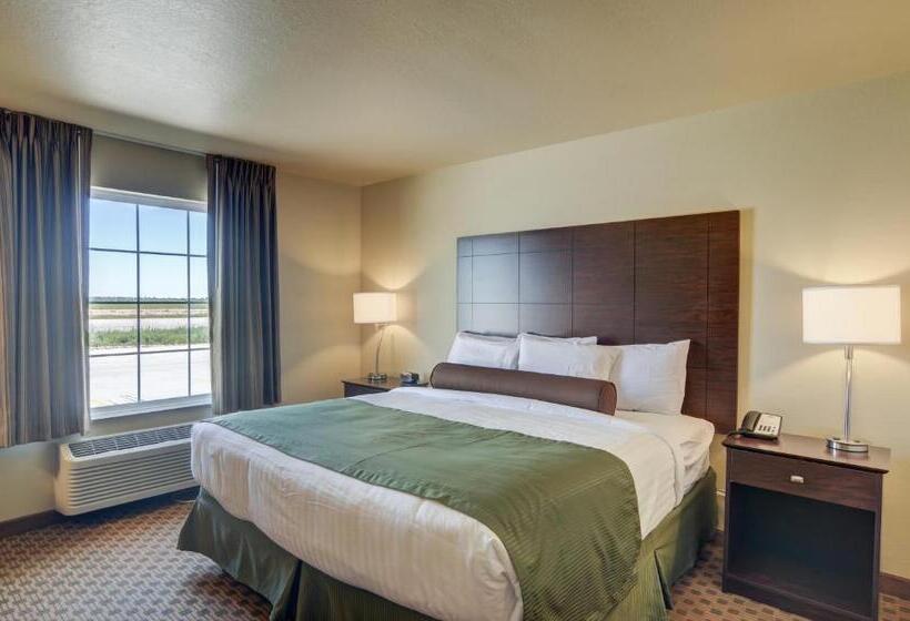 带大床的标准间, Cobblestone Inn & Suites  Ord