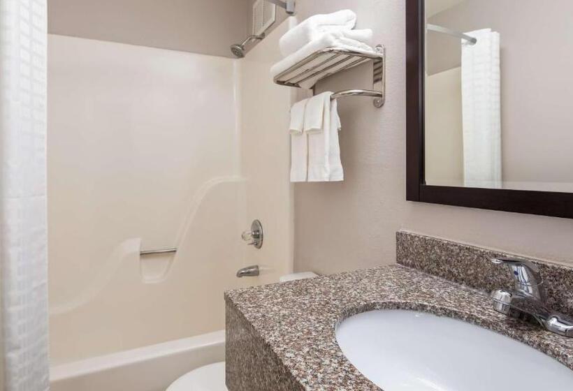 سوئیت با تخت بزرگ, Surestay Hotel By Best Western Florence