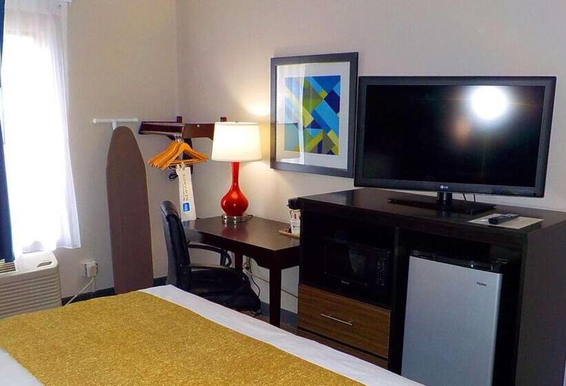 اتاق استاندارد با تخت بزرگ برای معلولان, Surestay Hotel By Best Western Florence