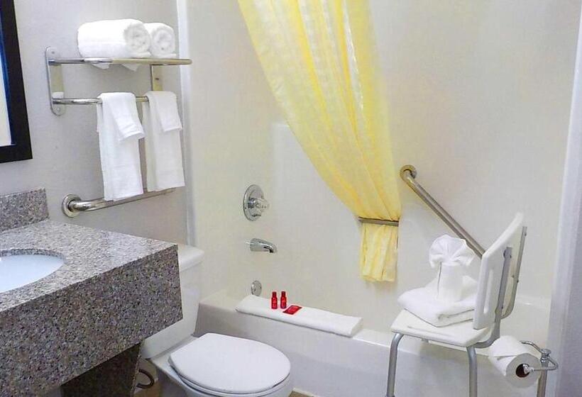 اتاق استاندارد با تخت بزرگ برای معلولان, Surestay Hotel By Best Western Florence