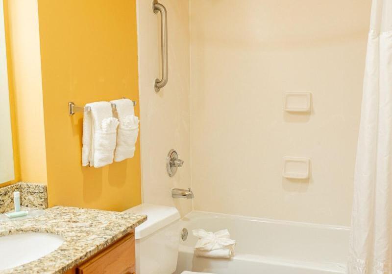 سوییت, Towneplace Suites Dallas Las Colinas