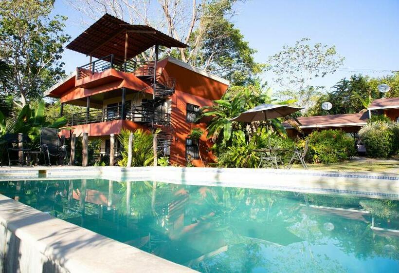 Habitación Superior, Jungle Lodge At Wild Sun Rescue Center