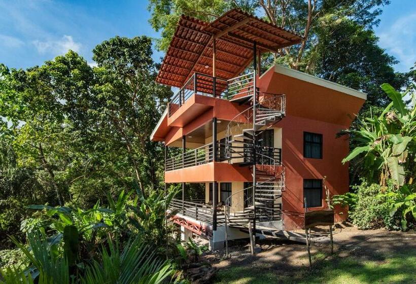 Habitación Superior, Jungle Lodge At Wild Sun Rescue Center