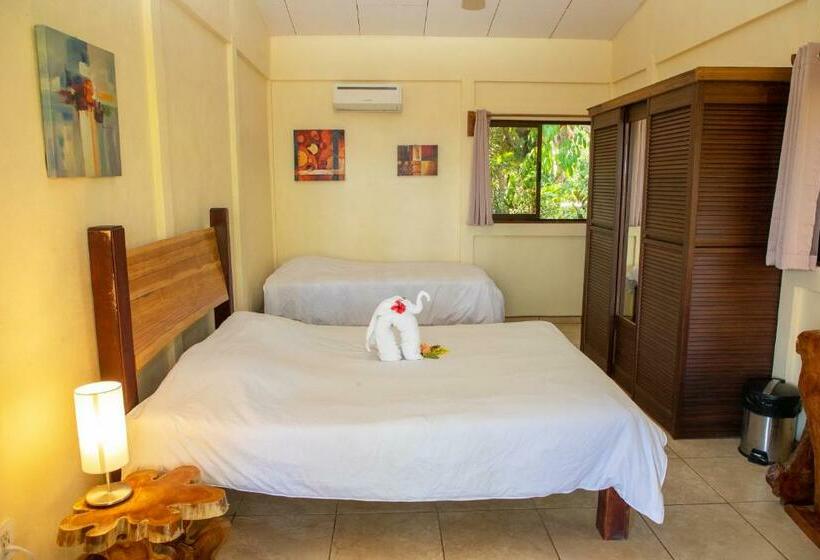 Habitación Deluxe Vista Mar, Jungle Lodge At Wild Sun Rescue Center