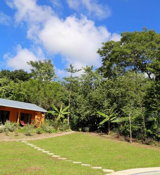 Habitación Estándar Cama King, Jungle Lodge At Wild Sun Rescue Center
