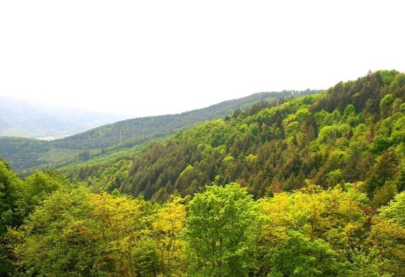 Номер Комфорт, L'hostellerie Le Turckheim Croix D'or