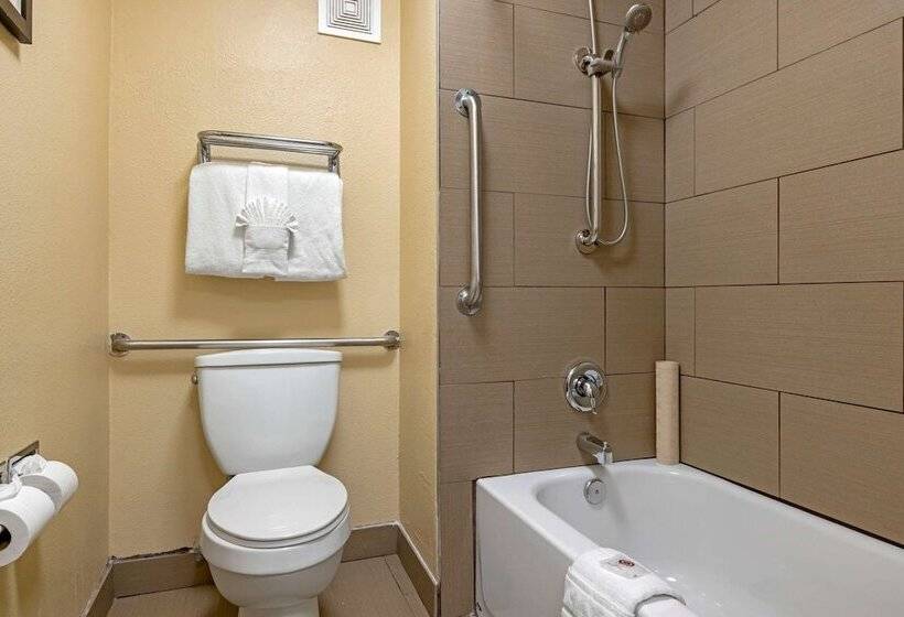 带2个双人床的标准工作室, Comfort Inn Gaslamp Convention Center