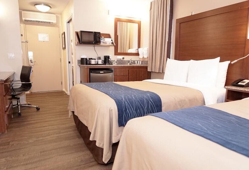 带2个双人床的标准工作室, Comfort Inn Gaslamp Convention Center