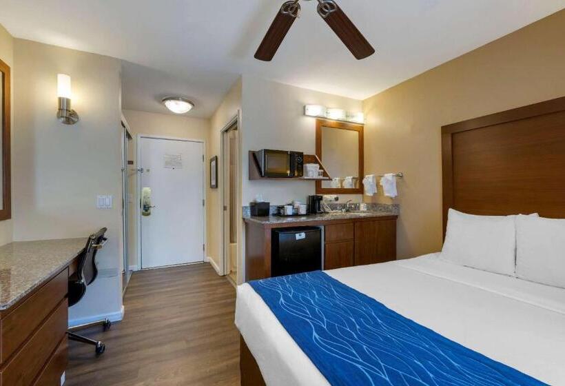标准间, Comfort Inn Gaslamp Convention Center