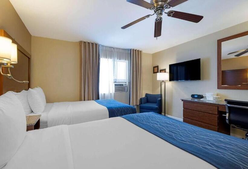 带2个双人床的标准工作室, Comfort Inn Gaslamp Convention Center
