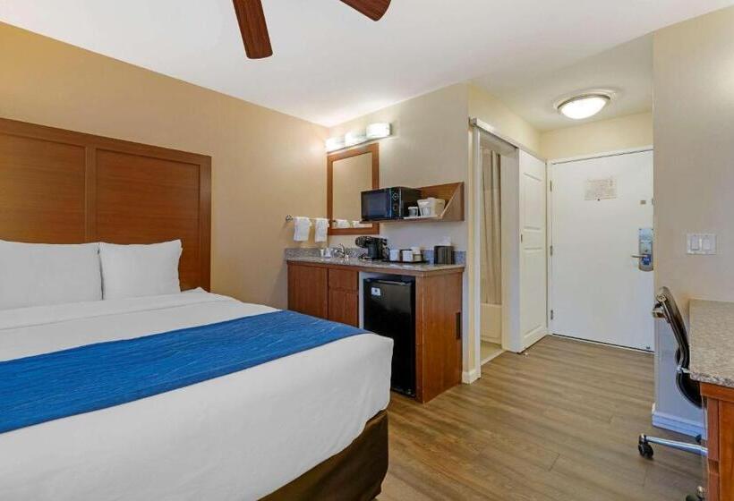 带大床的标准间, Comfort Inn Gaslamp Convention Center