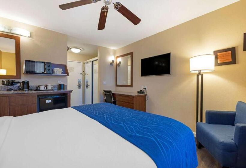 标准间, Comfort Inn Gaslamp Convention Center