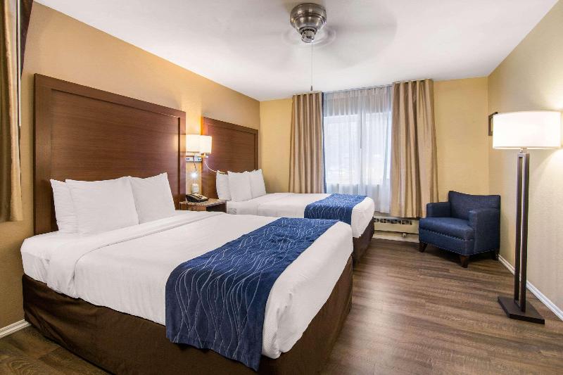 标准间, Comfort Inn Gaslamp Convention Center