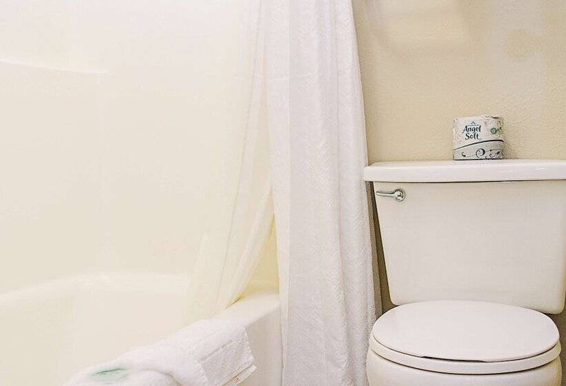 سوییت اجرایی, Lavissh Inn & Suites