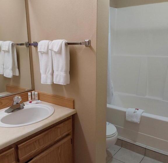اتاق استاندارد, Lavissh Inn & Suites