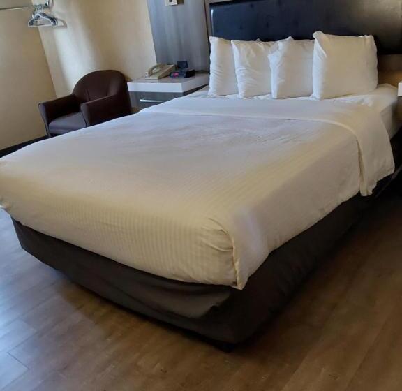 اتاق استاندارد, Lavissh Inn & Suites