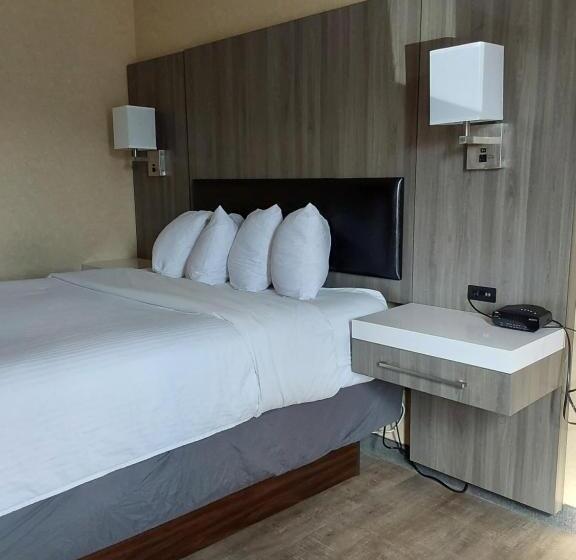 اتاق استاندارد, Lavissh Inn & Suites
