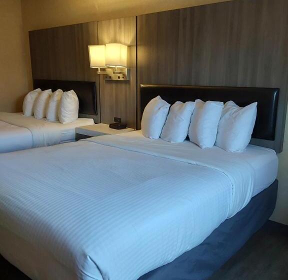اتاق استاندارد, Lavissh Inn & Suites