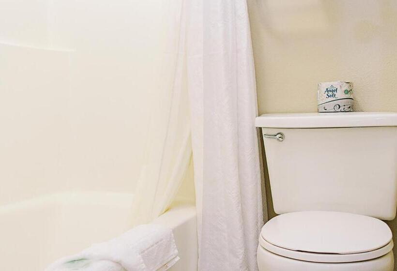 اتاق استاندارد با تخت بزرگ, Lavissh Inn & Suites