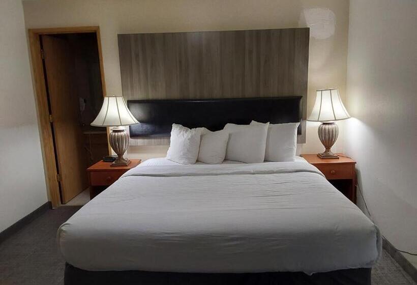 اتاق استاندارد با تخت بزرگ, Lavissh Inn & Suites
