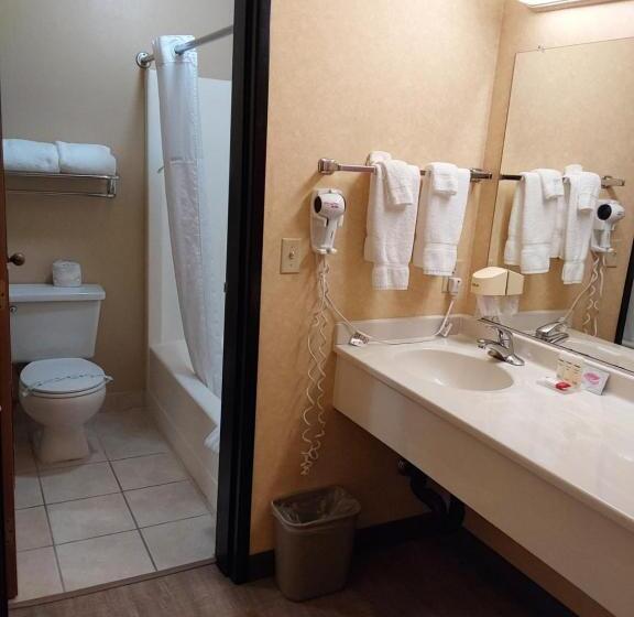 سوییت اجرایی, Lavissh Inn & Suites