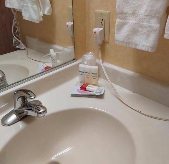 اتاق سوپریور با تخت بزرگ, Lavissh Inn & Suites