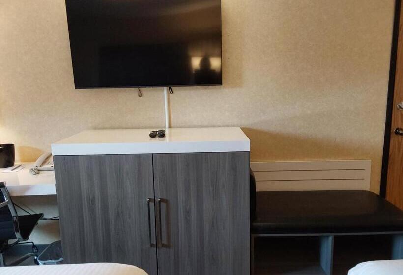 اتاق سوپریور با تخت بزرگ, Lavissh Inn & Suites