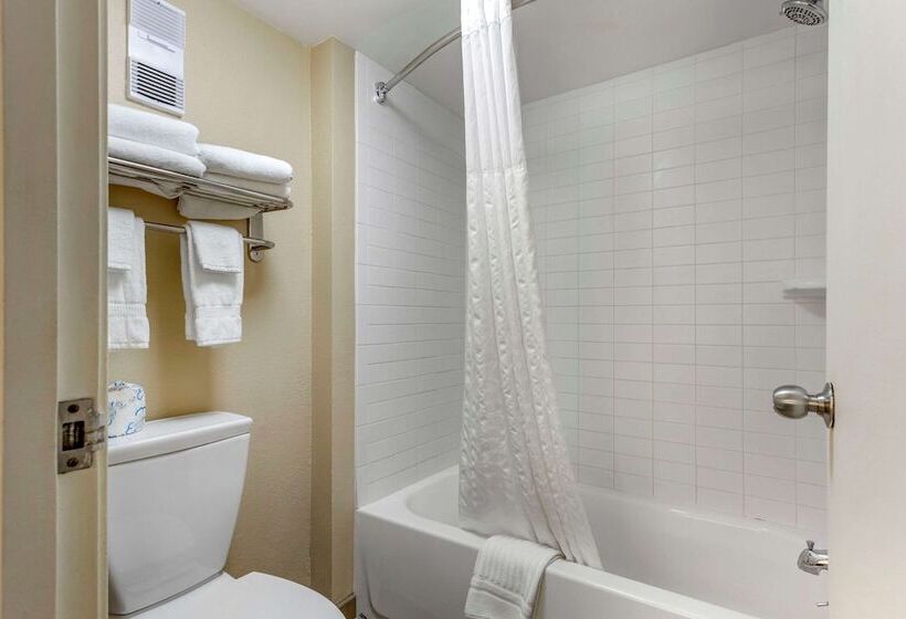 Стандартный Номер Кровать Кинг, Comfort Inn & Suites Airport