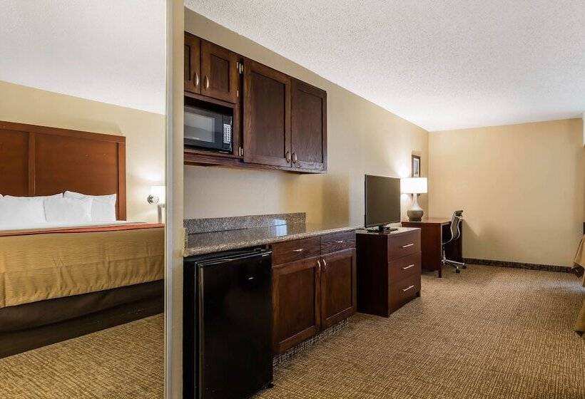 Стандартный Номер Кровать Кинг, Comfort Inn & Suites Airport